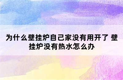 为什么壁挂炉自己家没有用开了 壁挂炉没有热水怎么办